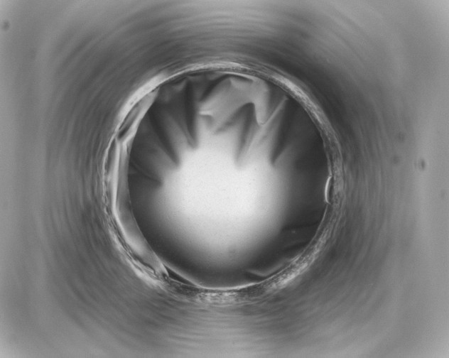 X0000087550858200705112120