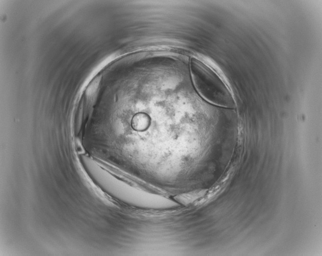 X0000087550859200705112120