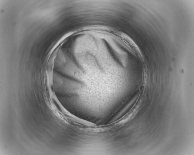 X0000087550860200705112120