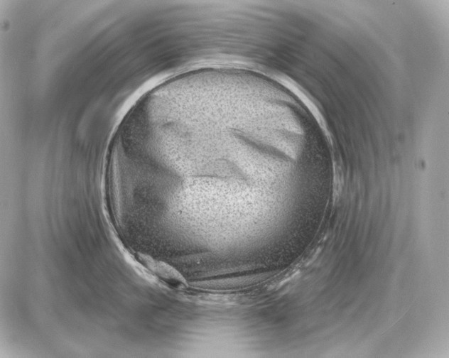 X0000087550861200705112120