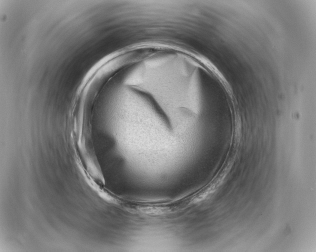 X0000087550862200705112120