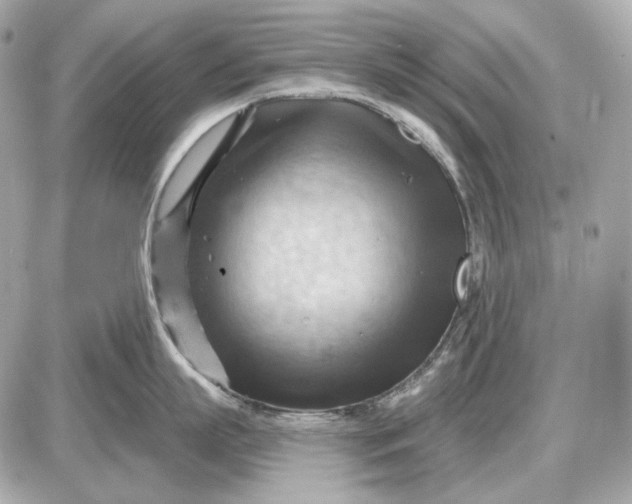 X0000087550863200705112120