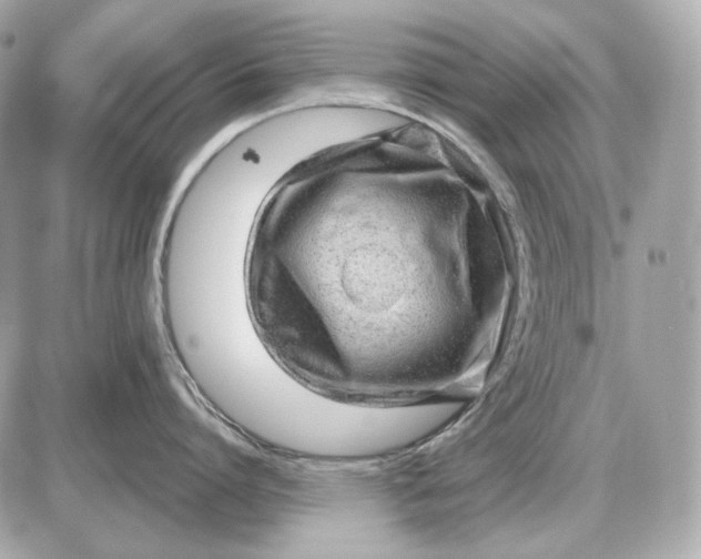 X0000087550864200705112120