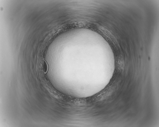 X0000087550865200705112119