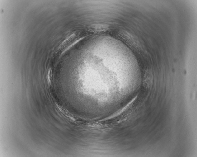 X0000087550866200705112119