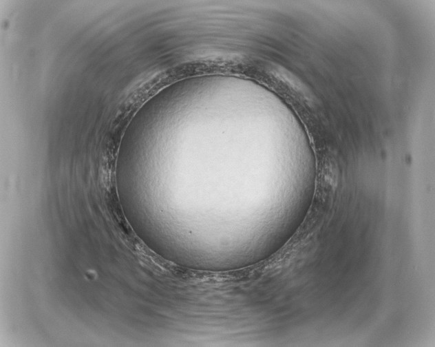 X0000087550869200705112119