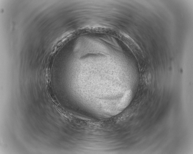 X0000087550870200705112119