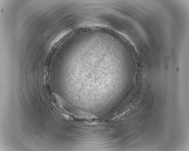 X0000087550871200705112119