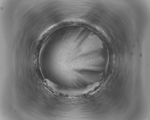 X0000087550872200705112119