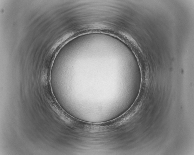 X0000087550873200705112119