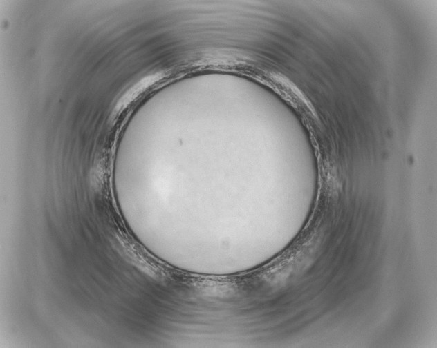 X0000087550874200705112119