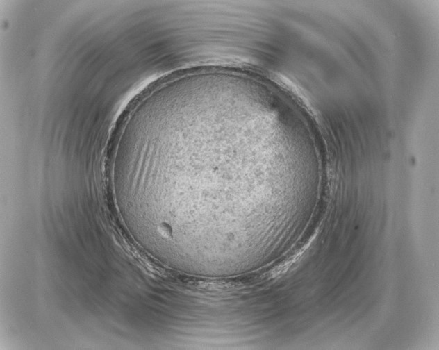 X0000087550875200705112119