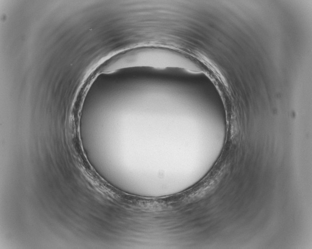 X0000087550876200705112119