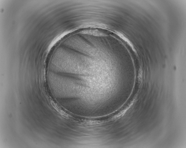 X0000087550877200705112119