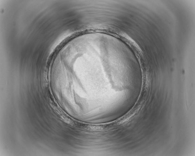 X0000087550878200705112119