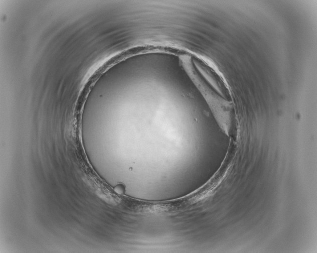 X0000087550879200705112119