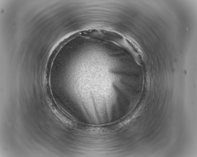 X0000087550880200705112119