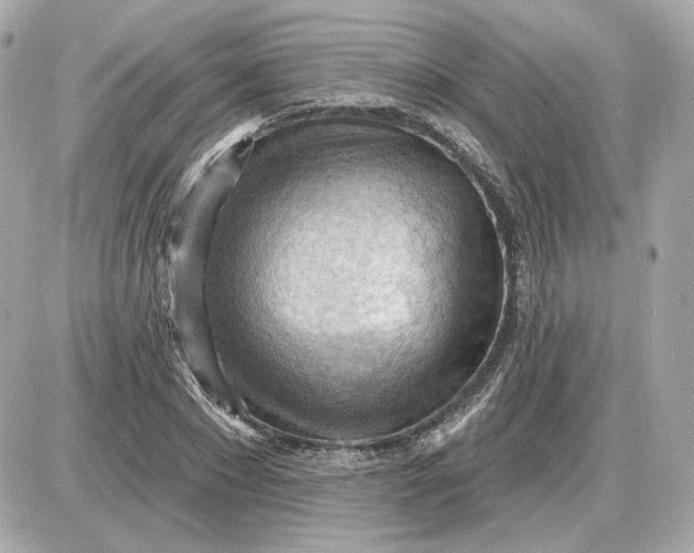 X0000087550881200705112119