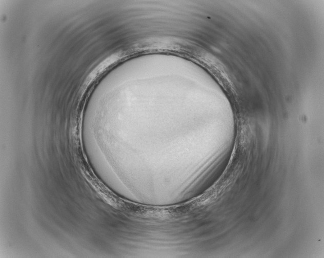 X0000087550882200705112119