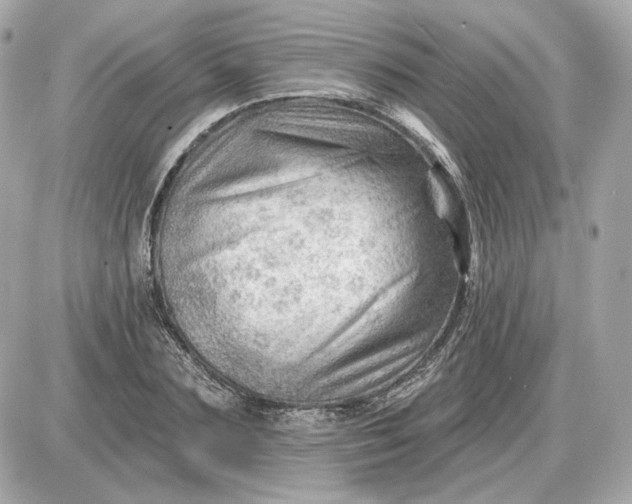 X0000087550883200705112119