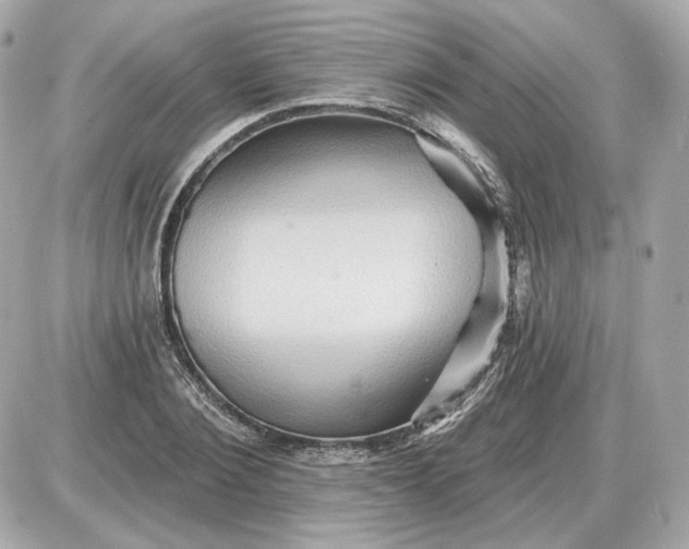 X0000087550884200705112119