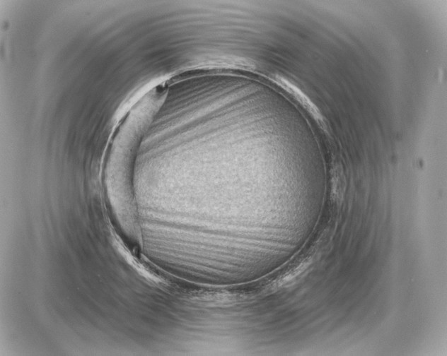 X0000087550885200705112119