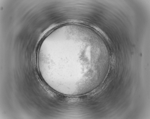 X0000087550886200705112119