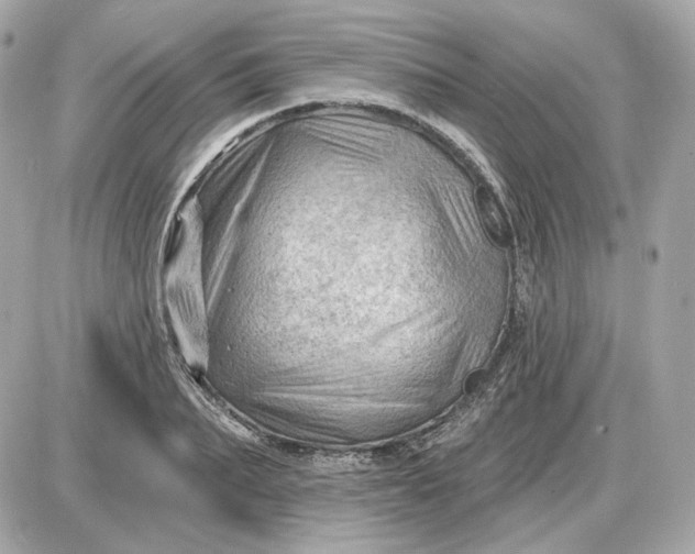 X0000087550887200705112118