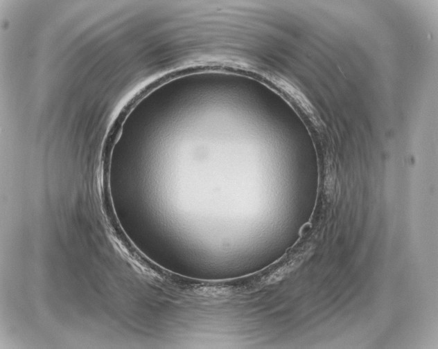 X0000087550888200705112118