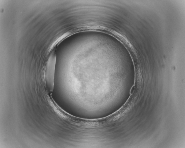 X0000087550889200705112118