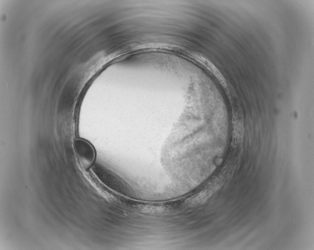 X0000087550890200705112118