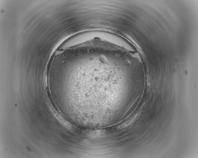 X0000087550891200705112118