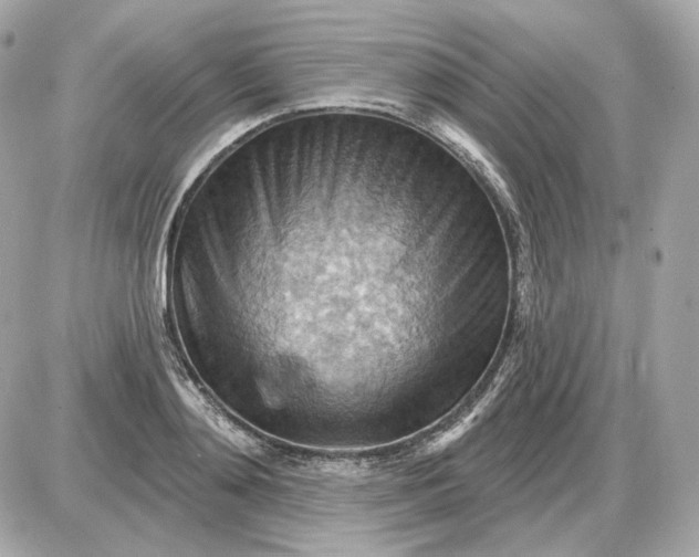 X0000087550892200705112118