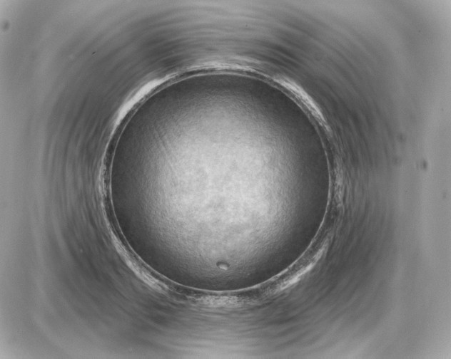 X0000087550893200705112118