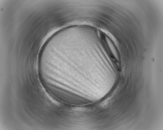 X0000087550894200705112118