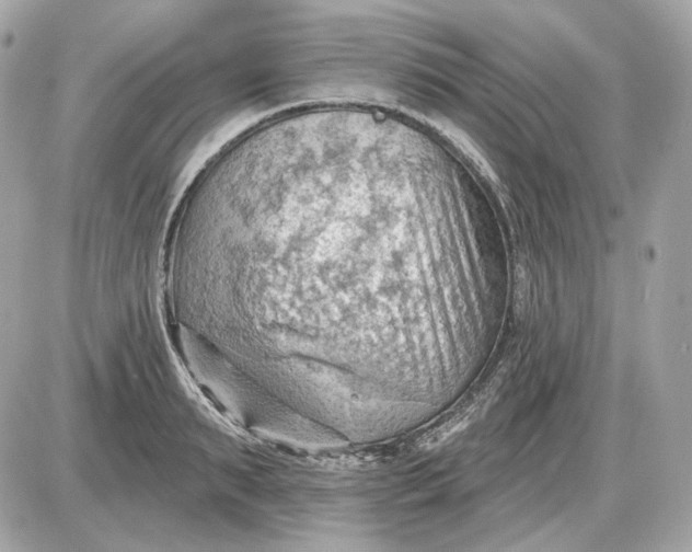 X0000087550895200705112118