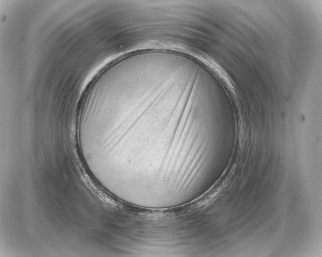 X0000087550896200705112118