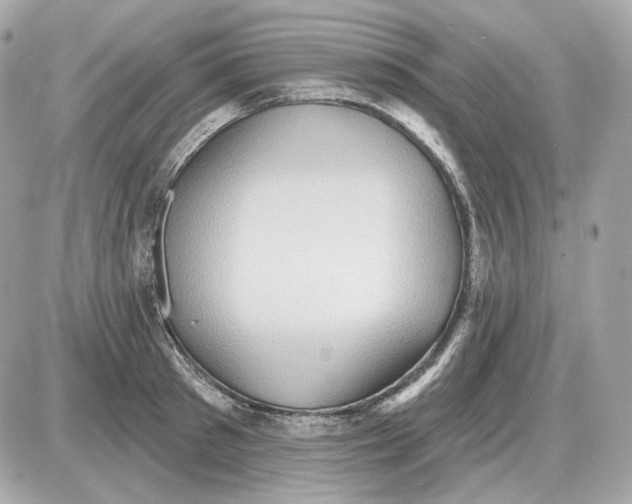 X0000087550897200705112118