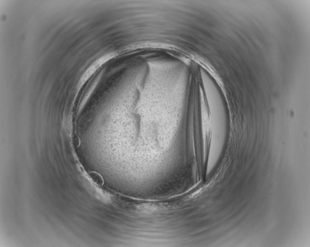 X0000087550898200705112118