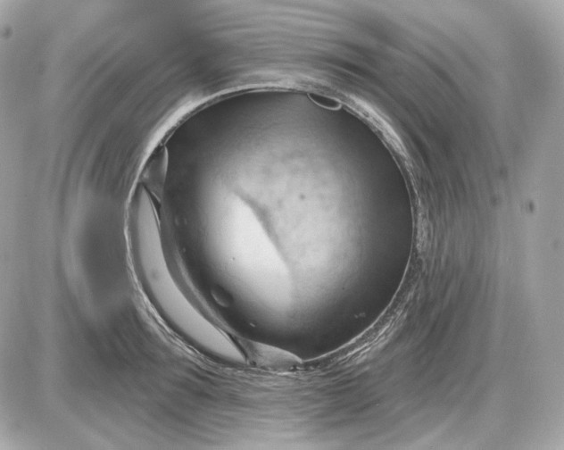 X0000087550899200705112118