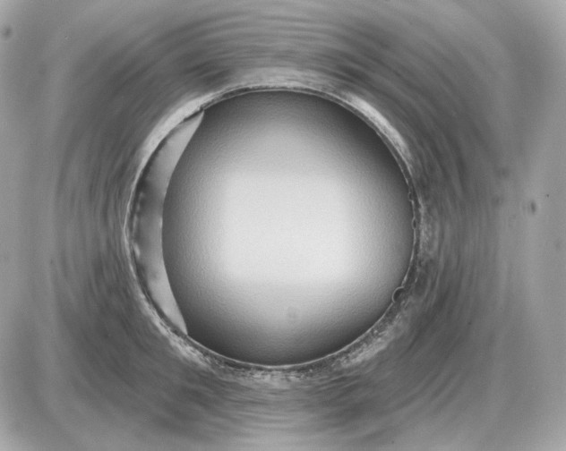 X0000087550901200705112118