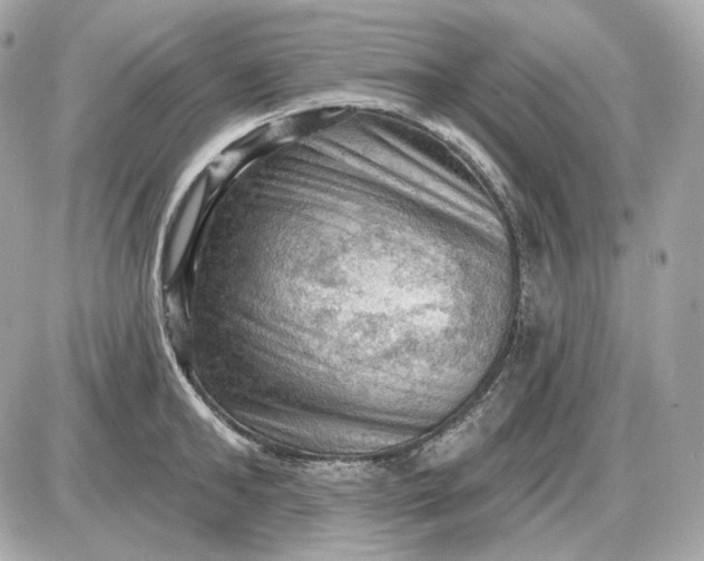 X0000087550902200705112118