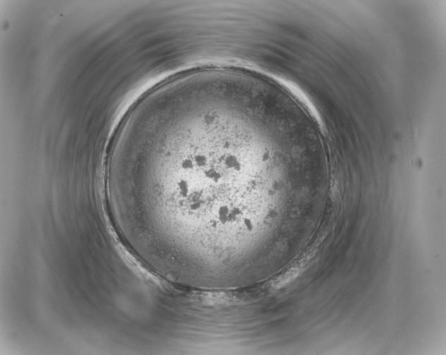 X0000087550903200705112118