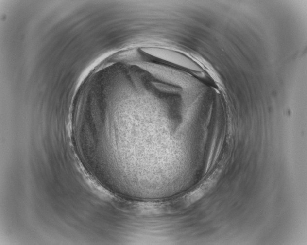 X0000087550904200705112118