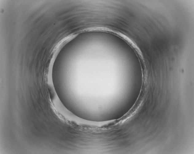 X0000087550905200705112118