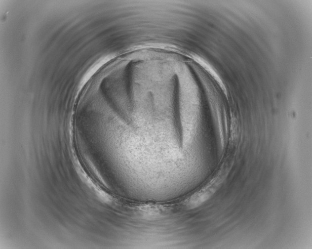 X0000087550906200705112118