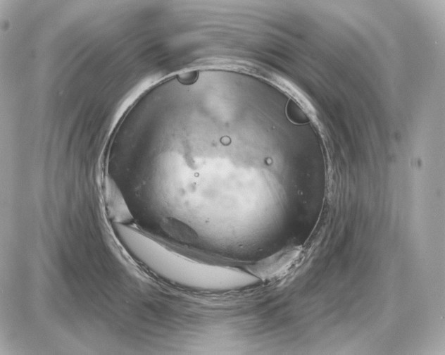 X0000087550907200705112118