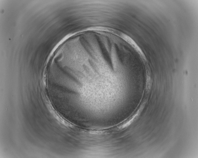 X0000087550908200705112118