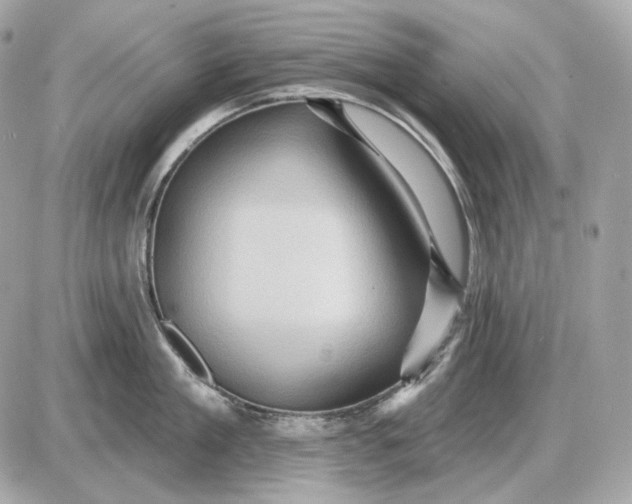 X0000087550909200705112118