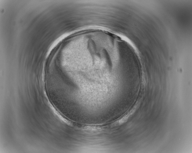 X0000087550910200705112118